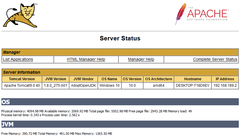 ../../_images/tomcat-server-status.png